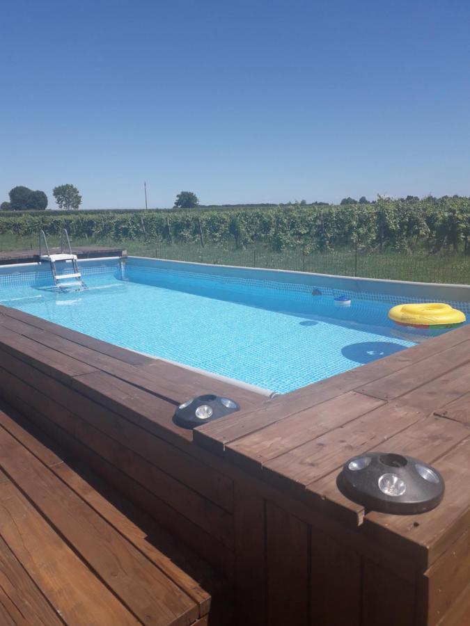 Tenuta Crescentini-Vallemura ,Appartamenti Con Entrata Indipendente サン・ドナ・ディ・ピアーヴェ エクステリア 写真