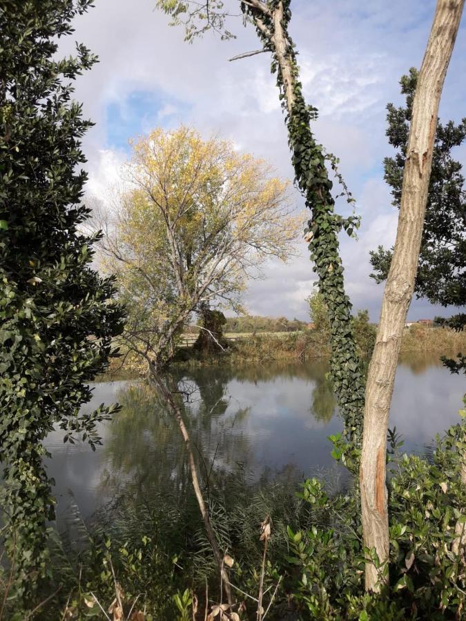 Tenuta Crescentini-Vallemura ,Appartamenti Con Entrata Indipendente サン・ドナ・ディ・ピアーヴェ エクステリア 写真