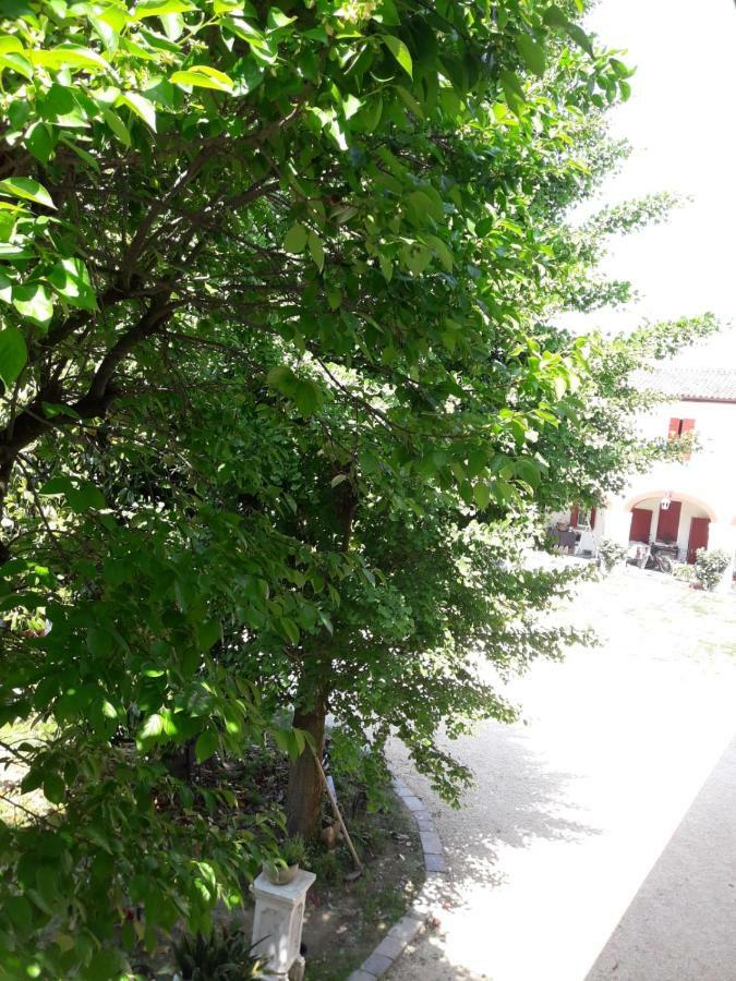 Tenuta Crescentini-Vallemura ,Appartamenti Con Entrata Indipendente サン・ドナ・ディ・ピアーヴェ エクステリア 写真