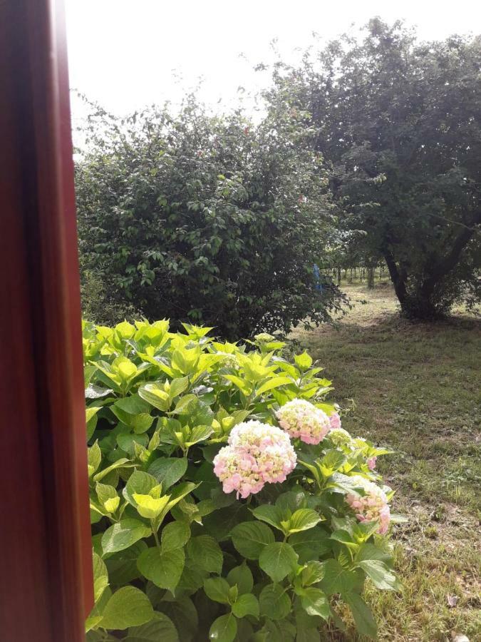 Tenuta Crescentini-Vallemura ,Appartamenti Con Entrata Indipendente サン・ドナ・ディ・ピアーヴェ エクステリア 写真