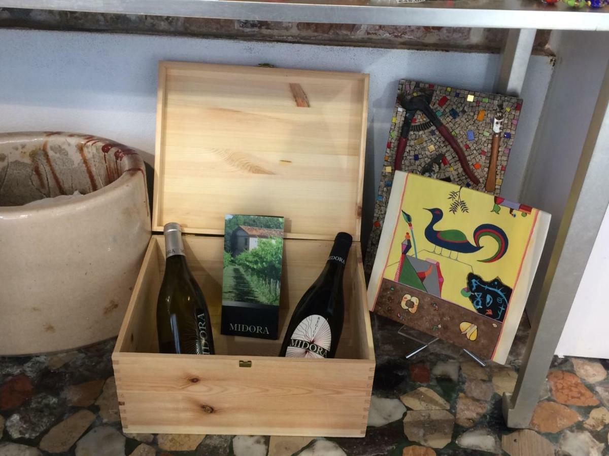 Tenuta Crescentini-Vallemura ,Appartamenti Con Entrata Indipendente サン・ドナ・ディ・ピアーヴェ エクステリア 写真