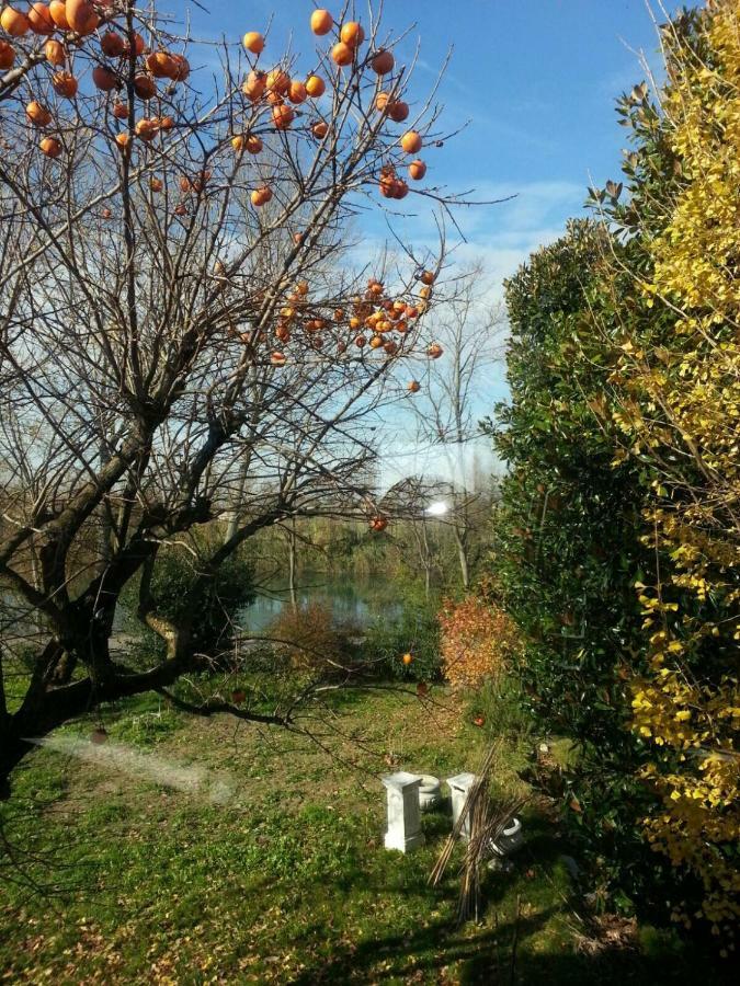 Tenuta Crescentini-Vallemura ,Appartamenti Con Entrata Indipendente サン・ドナ・ディ・ピアーヴェ エクステリア 写真