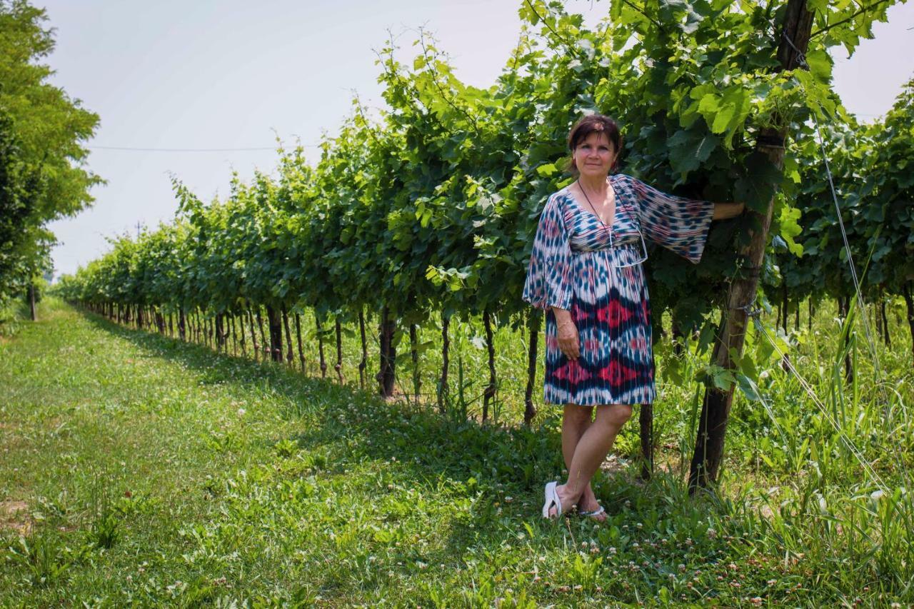 Tenuta Crescentini-Vallemura ,Appartamenti Con Entrata Indipendente サン・ドナ・ディ・ピアーヴェ エクステリア 写真