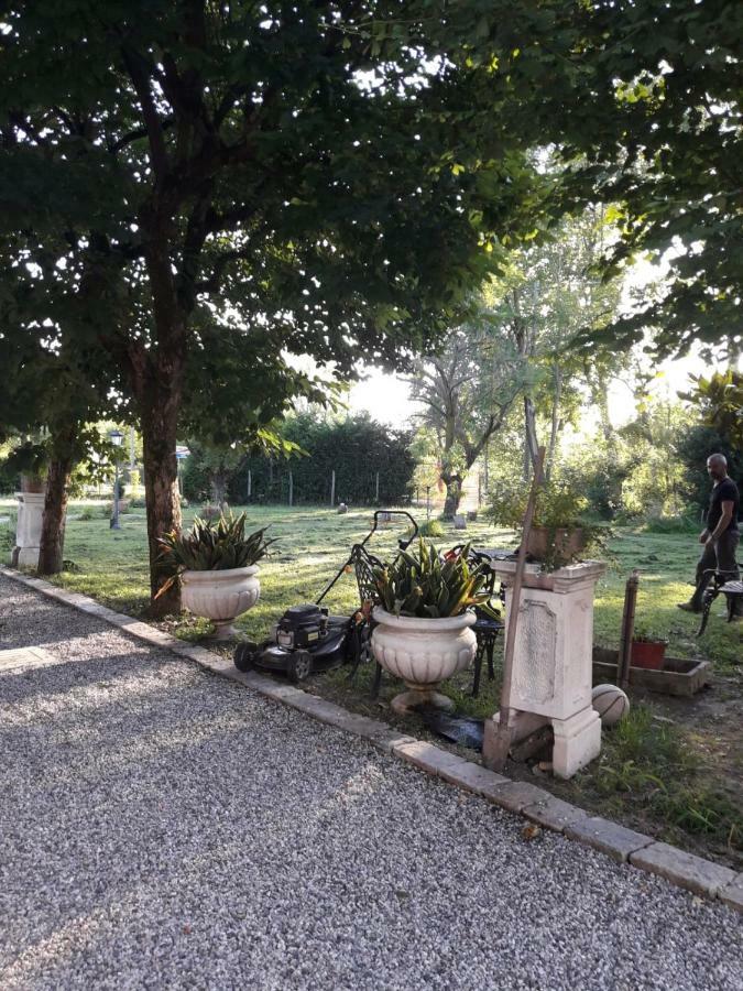 Tenuta Crescentini-Vallemura ,Appartamenti Con Entrata Indipendente サン・ドナ・ディ・ピアーヴェ エクステリア 写真